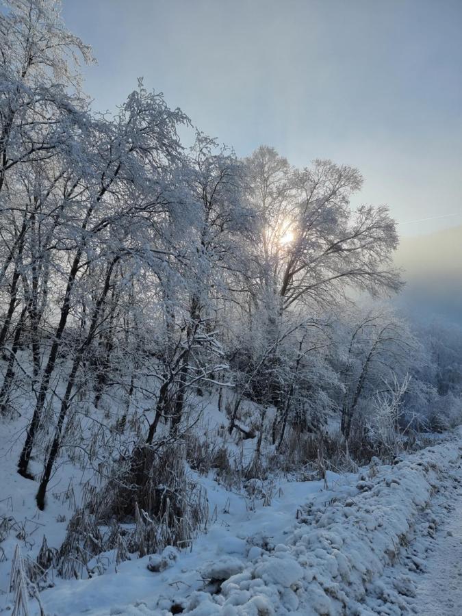 Das Taubenhaus ฮอลเลอร์บาค อิม พินซ์เกา ภายนอก รูปภาพ